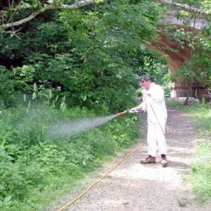 Flies and Mosquito Control